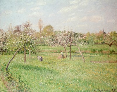 Meli a Gragny, sole del pomeriggio, 1900 da Camille Jacob Pissarro